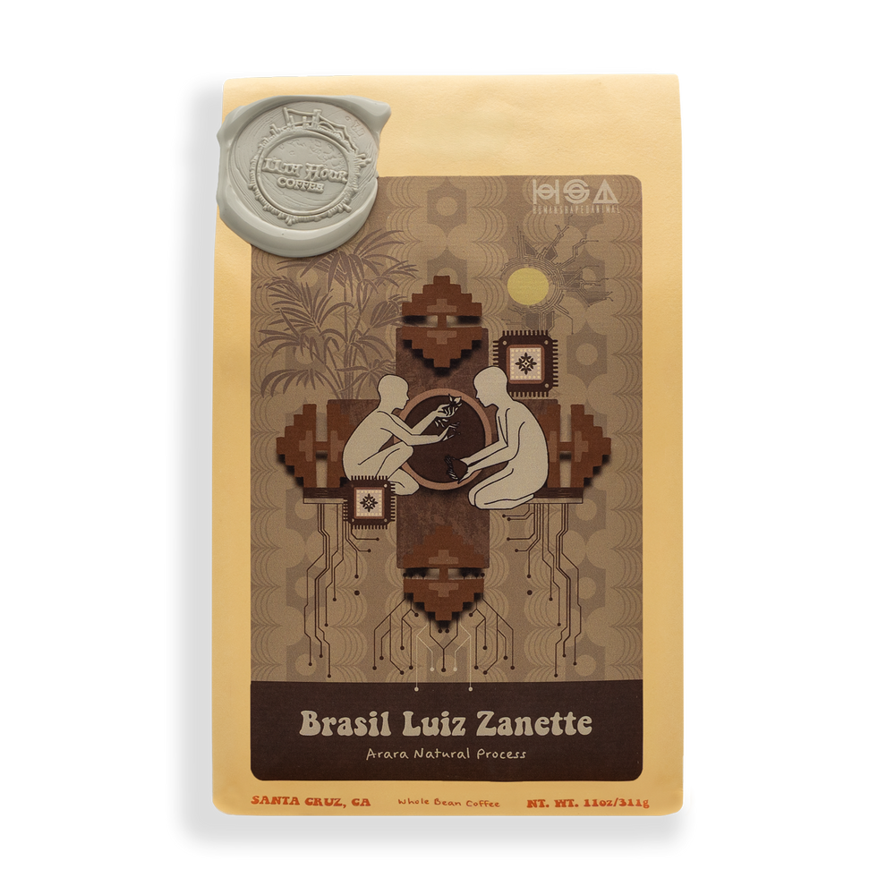 Brasil Luiz Zanette
